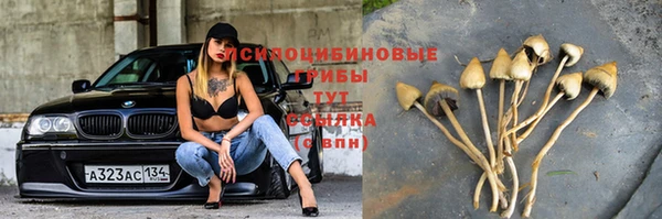 прущий лед Абаза